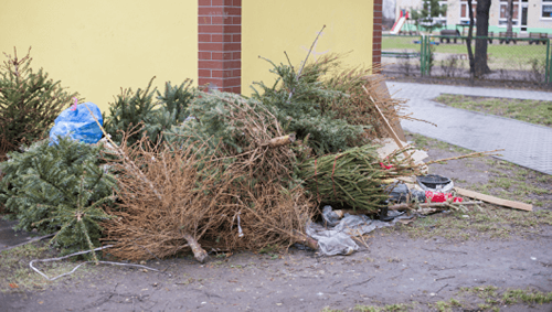 Geschenkpapier, Speisereste, Weihnachtsschmuck: Wohin damit nach den Feiertagen?