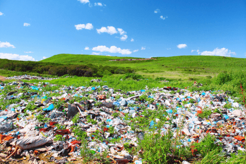 Recycling lohnt sich für die Umwelt - oft auch für den Geldbeutel