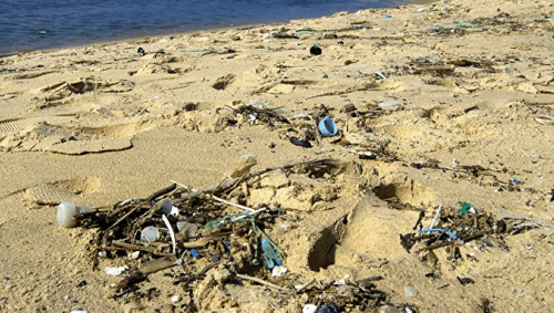 Sind Papiertüten wirklich umweltfreundlicher als Plastiktüten?